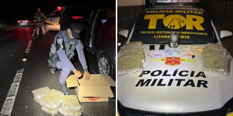 Espanhol é preso com mais de 4 kg de flor de maconha na Serra de Ubatuba