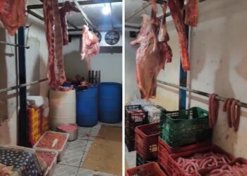 Polícia fecha matadouro clandestino e apreende mais de 700 quilos de carne em Jacareí