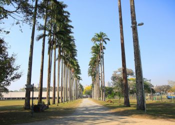 Semana começa com sol e calor no Vale e Litoral Norte; mudança no tempo chega a partir de quarta-feira
