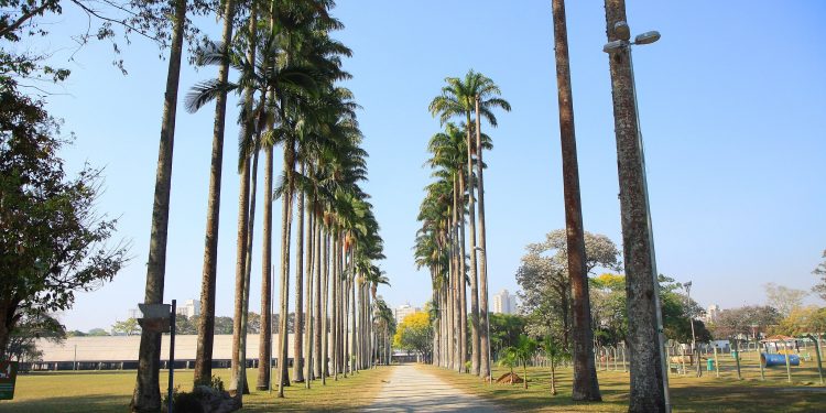 Semana começa com sol e calor no Vale e Litoral Norte; mudança no tempo chega a partir de quarta-feira