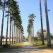 Semana começa com sol e calor no Vale e Litoral Norte; mudança no tempo chega a partir de quarta-feira